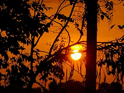 เกมชีวิต