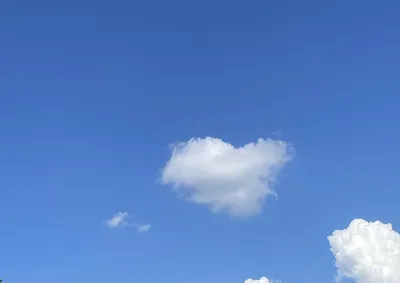 🤍 เสียงของความรัก