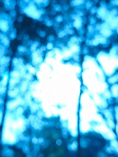 ที่หนึ่งของอะไร